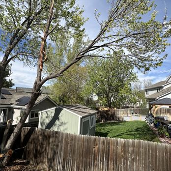 New Dawn Landscaping and construction - Best tree removal in Thornton Colorado FIVE STARS - Snow Removal Near Me New Dawn Landscaping and construction - Best tree removal in Thornton Colorado FIVE STARS - Snow Removal Near Me