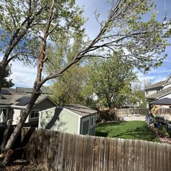 New Dawn Landscaping and construction - Best tree removal in Thornton Colorado FIVE STARS