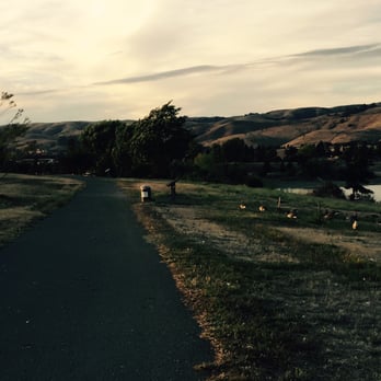 Quarry Lakes - Geese crossing - Parks Near Me - Fremont, California