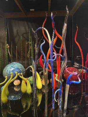 Chihuly Collection by null