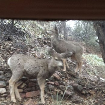 Keithley Pines Historic Cabins - Vacation Rentals Near Me - Manitou Springs, Colorado