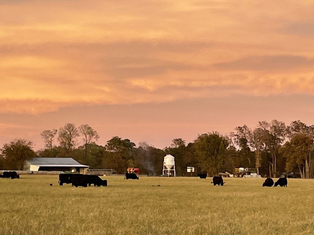 JACKSON ANGUS BEEF Updated September 2024 109 E Main St, Bokchito
