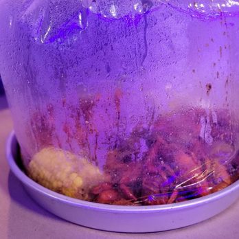 Fat Crab - Boiled bag - Cajun/Creole Near Me - Houston, Texas