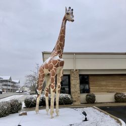 LaserLite - Giraffe outside of LaserLite