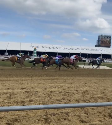 Pimlico Race Course by null