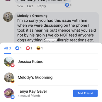 Melody's Grooming - Pet Groomers Near Me - Omaha, Nebraska