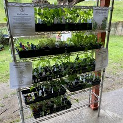 Rooted In Season Market - Spring vegetable starters