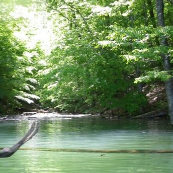 Norris Dam State Park - A clear cove on Norris Lake.  No dirty water here. - Parks Near Me - Rocky Top, Tennessee