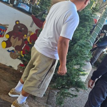 Brent's Christmas Trees - Christmas Trees Near Me - Oakland, California Brent's Christmas Trees - Christmas Trees Near Me - Oakland, California