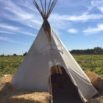 Cool Patch Pumpkins - Pumpkin Patches Near Me - Dixon, California