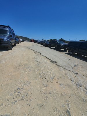 Four Mile Beach by null