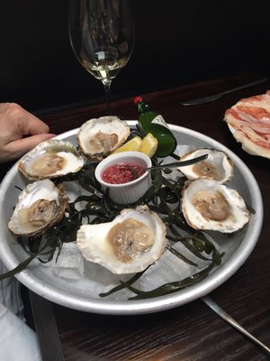 Noble Rot Lamb's Conduit by null