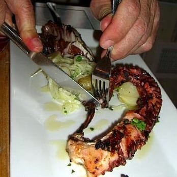 Melograno - Wonderful Grilled Squid - Italian Near Me - Philadelphia, Pennsylvania Melograno - Wonderful Grilled Squid - Italian Near Me - Philadelphia, Pennsylvania