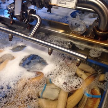 Taylor Shellfish Farms - Live geoducks - Seafood Near Me - Seattle, Washington Taylor Shellfish Farms - Live geoducks - Seafood Near Me - Seattle, Washington