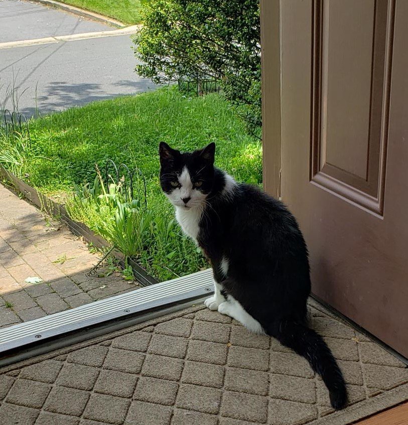All the Comforts of Home Professional Pet Sitting - pet boarding facility in Wilmington, DE