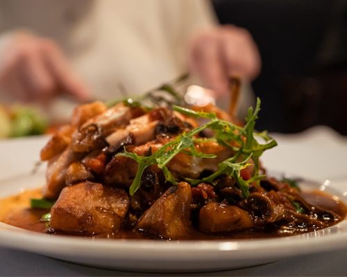 The Mountain House by null