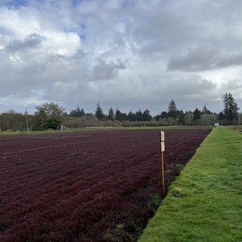 Cranberry Museum & Gift Shop - Museums Near Me - Long Beach, Washington