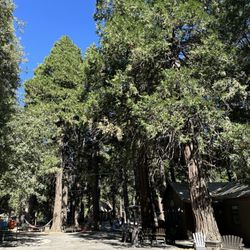 Thousand Pines Christian Camp & Conference Center - Beautiful environment