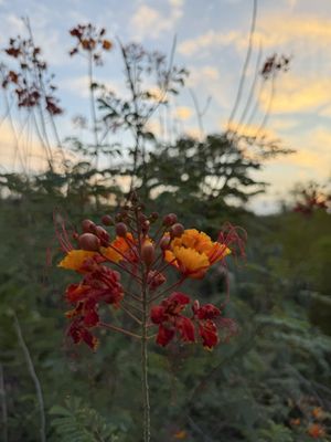 Papago Park by null