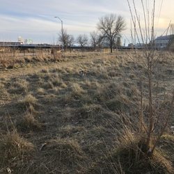 Riverwalk Dog Park