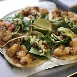Gym Tacos