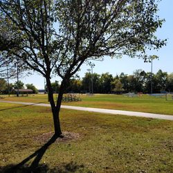 Schroeder Soccer Complex - Lots of playing area