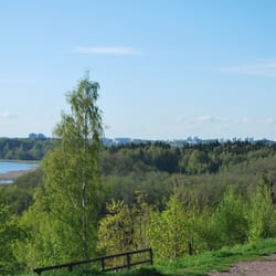 Majavakallio