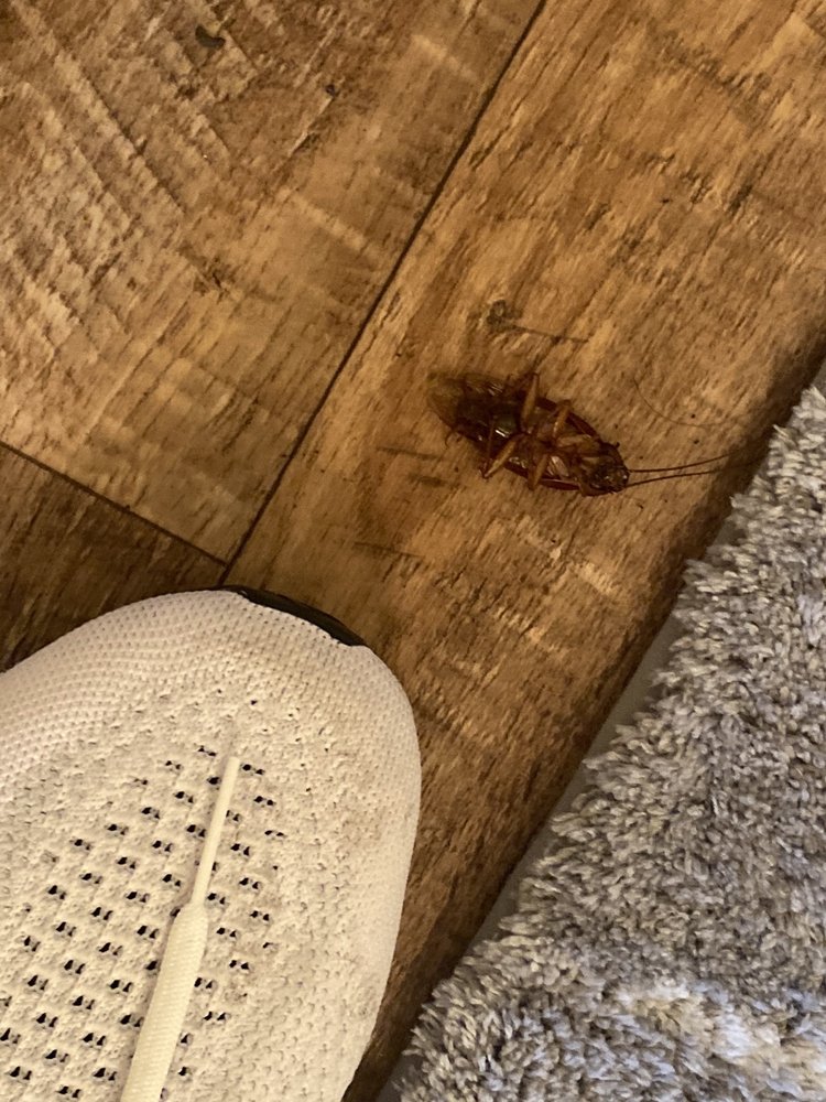 REVEILLE RANCH - Updated October 2024 - 47 Photos & 12 Reviews - 3645 ...