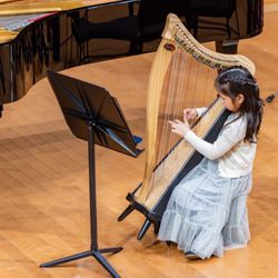 Note-worthy Experiences - Our harp instructor will travel to your home for lessons