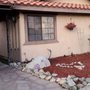 Photo of Bellagio In The Desert Residential Treatment Center
