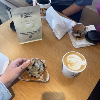 Succulent Coffee Roasters - Succulent latte, blueberry muffin and hot drip coffee - Coffee & Tea Near Me - Huntington Beach, California Succulent Coffee Roasters - Succulent latte, blueberry muffin and hot drip coffee - Coffee & Tea Near Me - Huntington Beach, California
