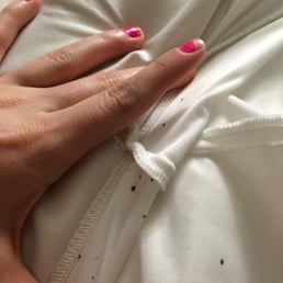 Flakey bed bug fecal matter. Flakey bed bug fecal matter.