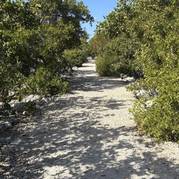 Biscayne National Park - Landmarks & Historical Buildings Near Me - Homestead, Florida