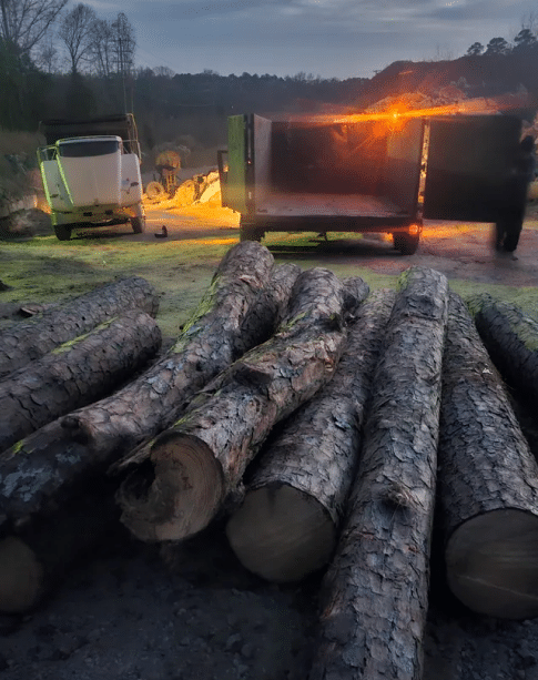 Climbing Carolina LLC Tree Service - tree service in Lexington, SC