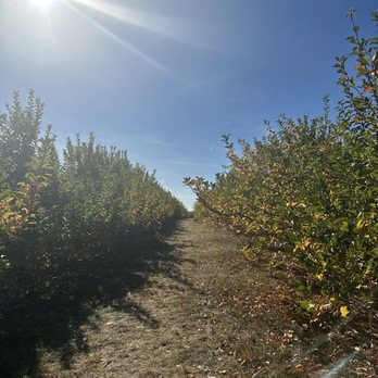 Battleview Orchards - Pick Your Own Farms Near Me - Freehold, New Jersey