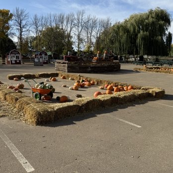 Minnesota Harvest Apple Orchard - Pick Your Own Farms Near Me - Jordan, Minnesota