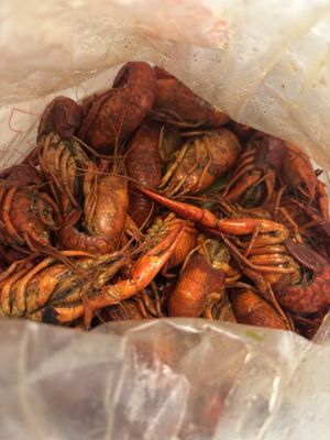 Cajun Corner Seafood by null