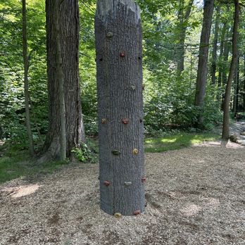 Brecksville Reservation - Tree climb - Parks Near Me - Brecksville, Ohio Brecksville Reservation - Tree climb - Parks Near Me - Brecksville, Ohio
