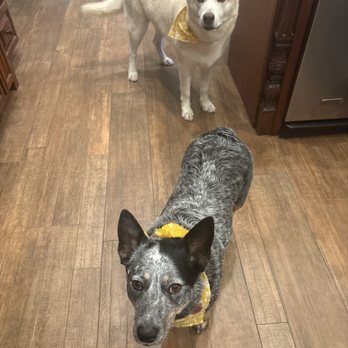 Pet Wants - Pet Stores Near Me - Bakersfield, California