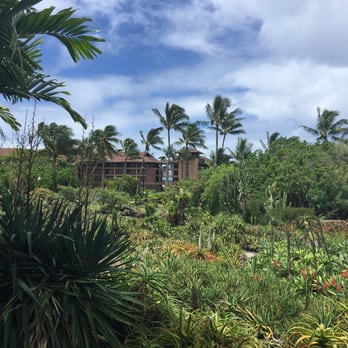Moir Gardens - Botanical Gardens Near Me - Poipu, Hawaii