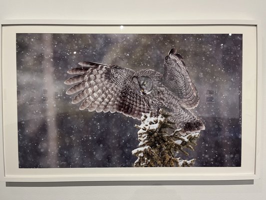 Whyte Museum of the Canadian Rockies by null