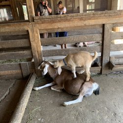 Children's Farm