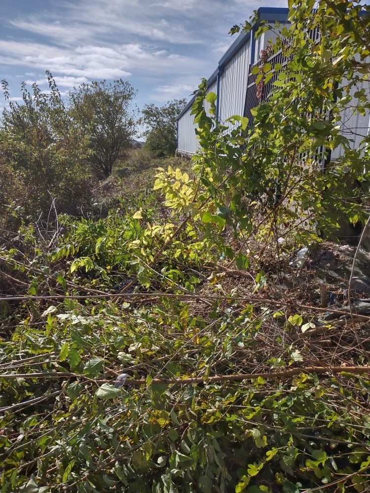 A One Enterprise - tree service in Topeka, KS