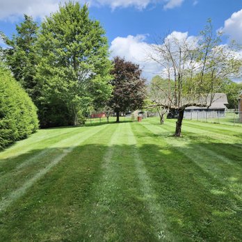 Grazing Goats Lawncare - a view of the back yard - Lawn Services Near Me Grazing Goats Lawncare - a view of the back yard - Lawn Services Near Me