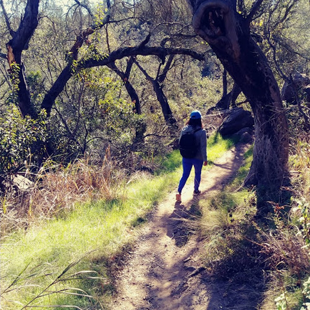 Charmlee Wilderness Park - Parks Near Me - Malibu, California