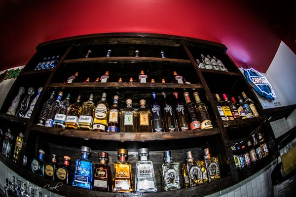 Taco Dive Bar by null