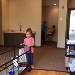 Burg Childrens Dentistry & Orthodontics - Daybreak - Jade playing with the bunny while Amy got xrays.