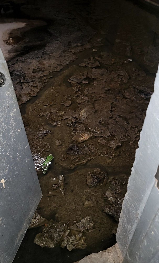 FLATBUSH GARDENS Updated September 2024 63 Photos & 25 Reviews 1403 New York Ave, Brooklyn