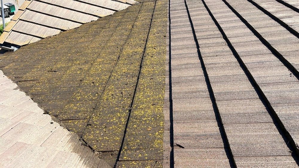 Slide of Hire Mikey's