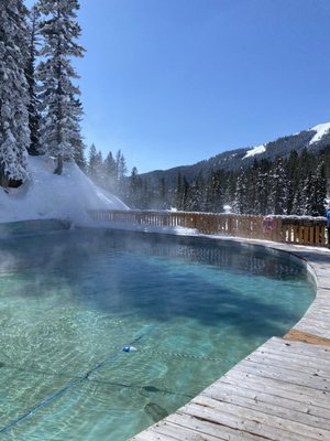 Jackson Hole Iditarod Sled Dog Tours by null